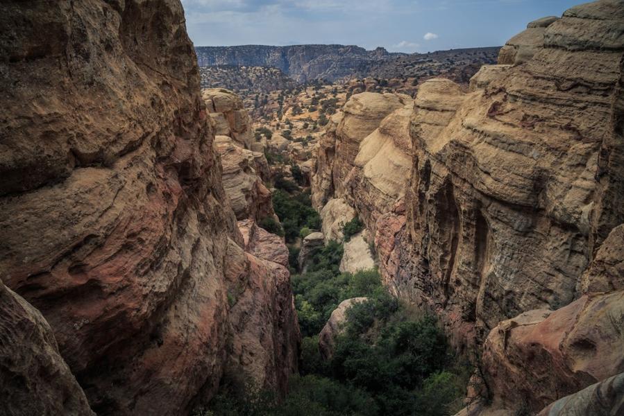 Les plus belles réserves de Jordanie